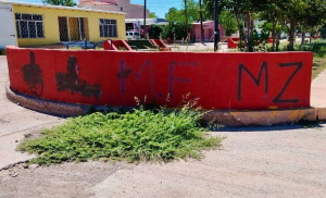 Continua el desaf&iacute;o con pintas en Aldama