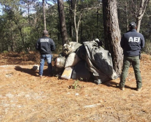 Aseguran  171 kilos de mariguana en Urique
