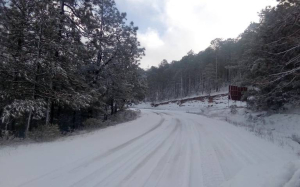Con la llegada del invierno se pronostica nieve para esta regi&oacute;n el fin de semana