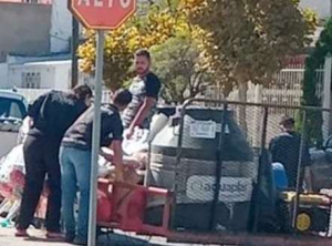 Informo Diputada destino de insumos para apoyos en temporada invernal