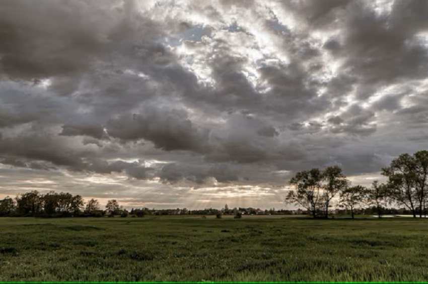 Prevén un dia calido con lluvias ligeras hoy