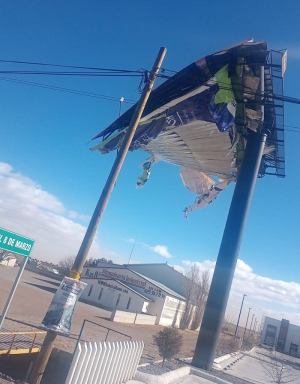 Atienden autoridades emergencias por fuertes vientos.