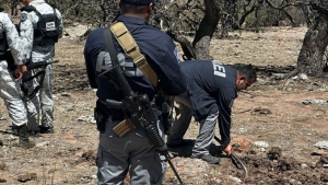 Realiza FGE Occidente rastreo en localidades de Gran Morelos