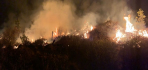 Afecta incendio forestal 182 hect&aacute;reas en Guadalupe y Calvo