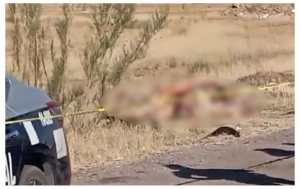 Intensifica  Fiscal&iacute;a actividad en el esclarecimiento del hallazgo de nuevo ejecutados en la r&uacute;a a  Ju&aacute;rez