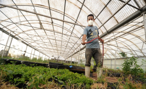 Ser&aacute; UACH sede del 48&ordm; Congreso Mexicano de la Ciencia del Suelo