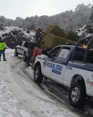 Emite Protecci&oacute;n Civil Estatal aviso preventivo por congelamiento de tramos carreteros serranos