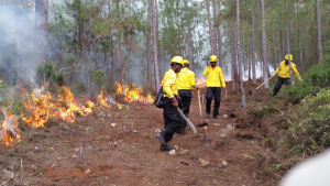 Alertan sobre incendios forestales durante el puente en este d&iacute;a
