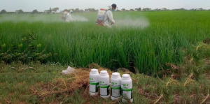 M&aacute;s plazo para solicitar subsidios para la adquisici&oacute;n de fertilizantes