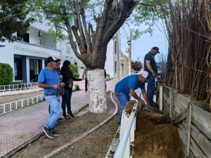 Entregan 1,000 &aacute;rboles de manzana en An&aacute;huac