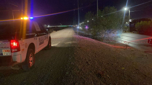 Tragedia en Parral; hallan muertas a hermanitas y a su pap&aacute;