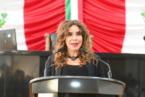 Buscan a desaparecidos con 3 millones de tel&eacute;fonos celulares: Diputada