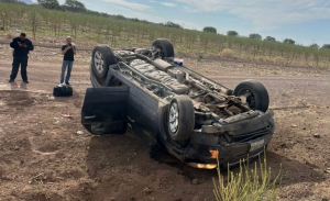 Se vuelca despu&eacute;s de atropellar a un perro en el G&oacute;mez Mor&iacute;n
