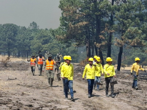 Trabajan m&aacute;s de 340 combatientes para sofocar incendios forestales en el estado
