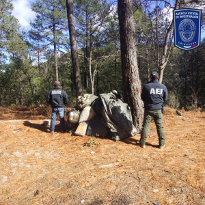 Asegura AEI Occidente 171 kilos de mariguana