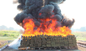 Realizan quema de enervantes ejercito y fiscalia zona occidente