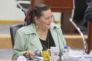 INE organizara elecci&oacute;n judicial el 20 de noviembre