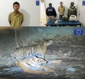 Aseguran animales ex&oacute;ticos a delincuentes en Nonoava