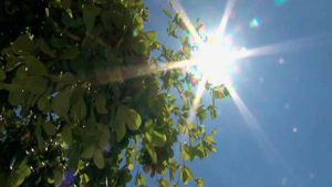 Dia caluroso con nubles parciales, m&aacute;xima de 27 grados