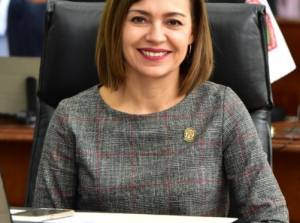 Insulto para Chihuahua que Federaci&oacute;n pretenda bachear carreteras: Isela Mart&iacute;nez