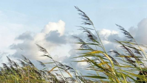 Continuaran los vientos y el calor por el frente 48