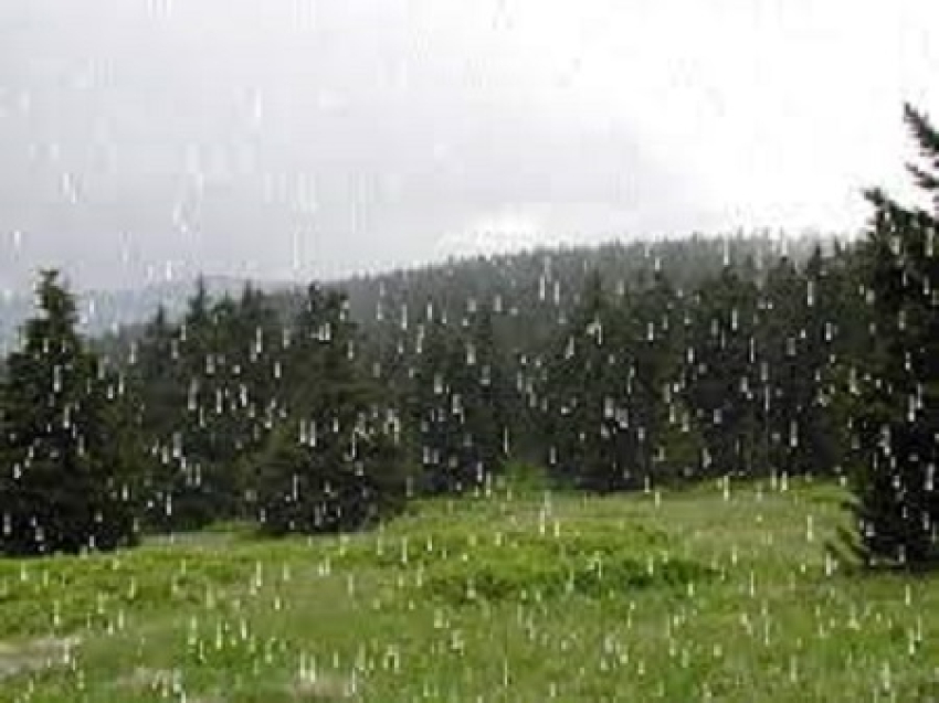 Hoy día cálido con lluvia ligera por la tarde