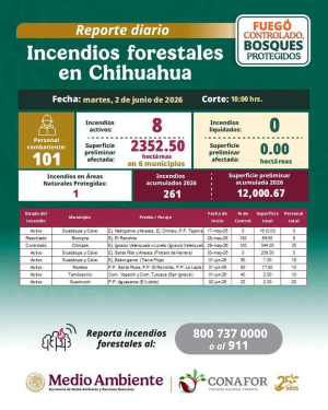 Afectan incendios 12 mil hect&aacute;reas en la Sierra Tarahumara