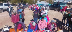 Entreg&oacute; Estado 430 toneladas de ma&iacute;z y frijol en cinco municipios de la Sierra Tarahumara