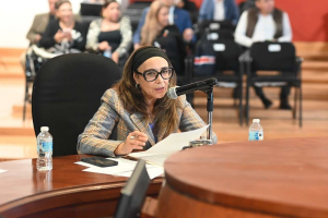 Pide Diputada alienaci&oacute;n parental por retroceso para infantes