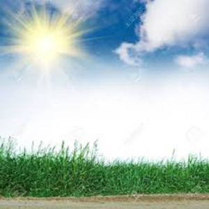 D&iacute;as calurosos y vientos fuertes hoy por la tarde