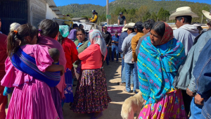 Lleva gobierno del estado alimentos a Batopilas