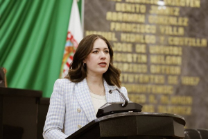 &ldquo;Chihuahua no perder&aacute; transparencia&rdquo;: Alma Portillo