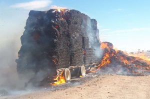 Se quema remolque en Rubio