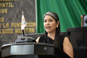 Propone Diputada coordinaci&oacute;n para blindar el estado