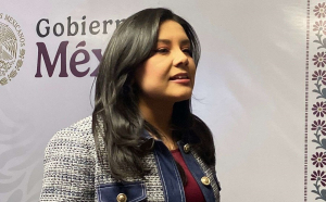 Programas de Bienestar son derecho constitucional: Delegada