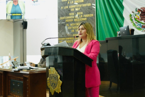 Aprueban proteger a mujeres que ingresan a refugios por violencia