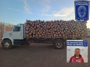 Detienen AEI a masculino por no acreditar legal procedencia de madera