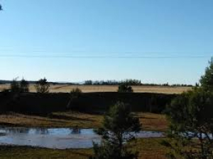 Asesinan a un hombre en el ejido Tres Lagunas