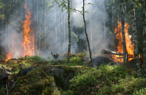 Permanecen 8 incendios forestales activos