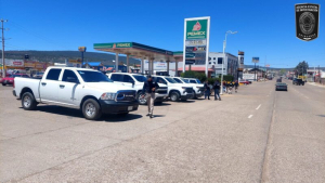 Fiscal&iacute;a realiza pega de pesquisas en Madera