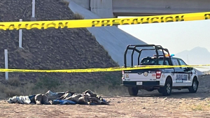 Encuentran a cinco ejecutados en Chihuahua; entre ellos una mujer
