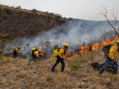 Combaten 40 brigadistas voraz en Madera