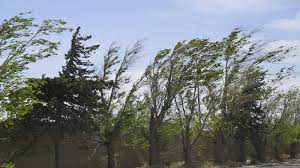 Pronostican fuertes vientos y baja temperatura para hoy