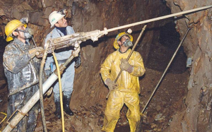 L&iacute;mite de reservas ocasionara p&eacute;rdidas de 500 empleos en Madera