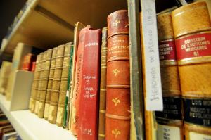 El nuevo rol de los bibliotecarios: Alfabetizaci&oacute;n Informacional