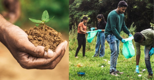 Ayudan a la reforestaci&oacute;n de la sierra Tarahumara