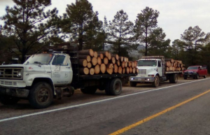 Guardia nacional recupera dos camiones madereros robados en Bocoyna