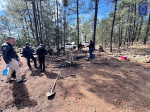 Localizan restos &oacute;seos calcinados en Madera