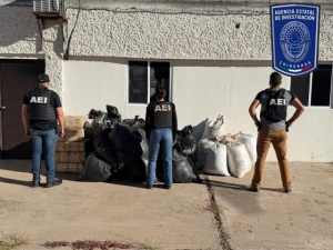 Asegura AEI media tonelada de mariguana en carretera Parral- Balleza