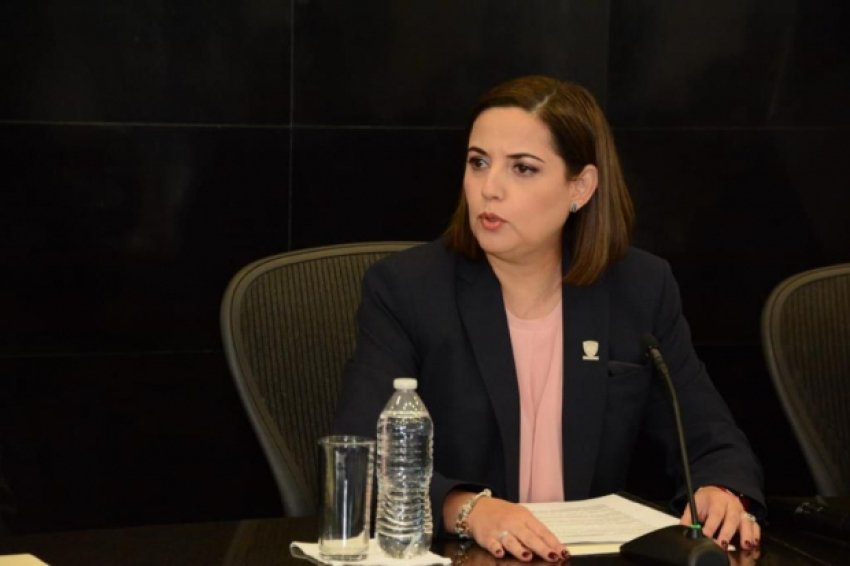 Agradezco al Congreso por aprobar reforma; Miriam Hernandez